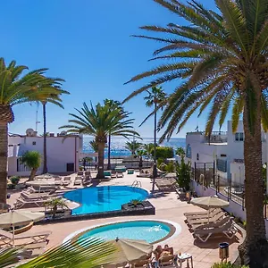 Flamingo , Puerto del Carmen (Lanzarote) Spagna